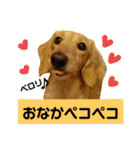 てぃもさくスタンプ（個別スタンプ：21）
