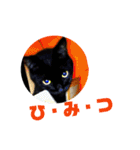てぃもさくスタンプ（個別スタンプ：35）