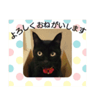 てぃもさくスタンプ（個別スタンプ：38）