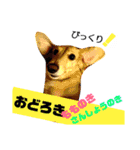 てぃもさくスタンプ（個別スタンプ：39）