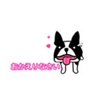 うちのワンコとインコ（個別スタンプ：1）