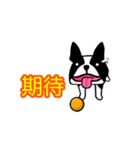 うちのワンコとインコ（個別スタンプ：2）