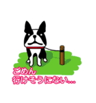 うちのワンコとインコ（個別スタンプ：5）