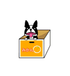うちのワンコとインコ（個別スタンプ：8）