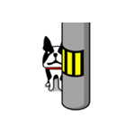 うちのワンコとインコ（個別スタンプ：11）