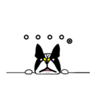 うちのワンコとインコ（個別スタンプ：19）