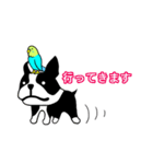 うちのワンコとインコ（個別スタンプ：23）