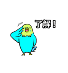 うちのワンコとインコ（個別スタンプ：30）