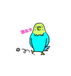 うちのワンコとインコ（個別スタンプ：34）
