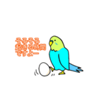 うちのワンコとインコ（個別スタンプ：37）
