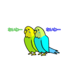 うちのワンコとインコ（個別スタンプ：40）
