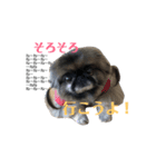 てんてんです1（個別スタンプ：1）