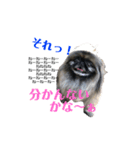 てんてんです1（個別スタンプ：2）