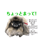 てんてんです1（個別スタンプ：8）