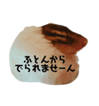シマリスメイちゃんvol.2（個別スタンプ：9）