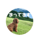 ドゥードルとネコ 2（個別スタンプ：2）