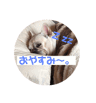 陸八と海のフレブルスタンプです！（個別スタンプ：16）