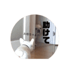 陸八と海のフレブルスタンプです！（個別スタンプ：21）