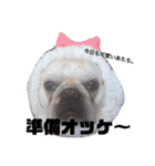 陸八と海のフレブルスタンプです！（個別スタンプ：25）