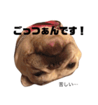陸八と海のフレブルスタンプです！（個別スタンプ：32）