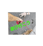 俺の犬（個別スタンプ：4）