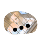 俺の犬（個別スタンプ：15）