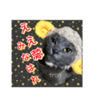 フランさん（個別スタンプ：10）