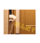 さくたんもふもふスタンプ（個別スタンプ：2）