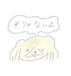 ペキニーズのクウちゃん！（個別スタンプ：1）