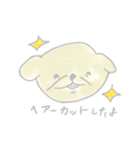 ペキニーズのクウちゃん！（個別スタンプ：21）