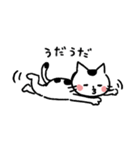 くろぶちネコら（個別スタンプ：31）