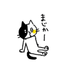 くろぶちネコら（個別スタンプ：33）
