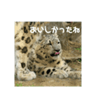 かわいいフクくんのスタンプ第1弾（個別スタンプ：7）