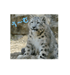 かわいいフクくんのスタンプ第1弾（個別スタンプ：11）