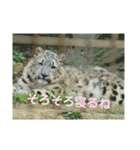 かわいいフクくんのスタンプ第1弾（個別スタンプ：17）
