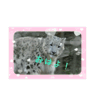 かわいいフクくんのスタンプ第1弾（個別スタンプ：21）