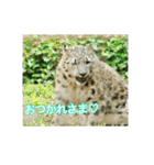 かわいいフクくんのスタンプ第1弾（個別スタンプ：29）