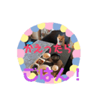 豆柴はな子3（個別スタンプ：3）