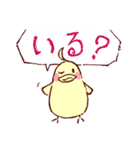 大阪のインコくん（個別スタンプ：13）