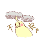 大阪のインコくん（個別スタンプ：31）