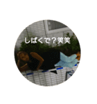 Syuri's2（個別スタンプ：1）