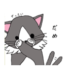 いやしのねこ（個別スタンプ：6）