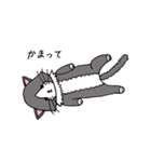 いやしのねこ（個別スタンプ：14）