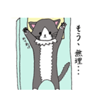 いやしのねこ（個別スタンプ：18）