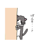 いやしのねこ（個別スタンプ：19）