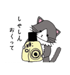 いやしのねこ（個別スタンプ：26）