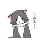 いやしのねこ（個別スタンプ：28）