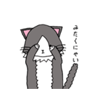 いやしのねこ（個別スタンプ：40）