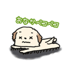 ふわふわかわいい子犬の日常スタンプ♪（個別スタンプ：16）