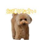 なま＆むぎ日常編2（個別スタンプ：2）